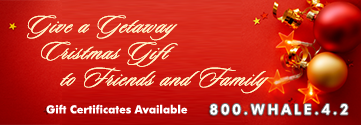 Christmas Gift Certificates