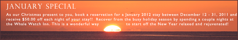January Special