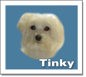 Tiny is looking forward to meeeting your pet!