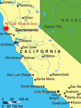california-beach-hotels