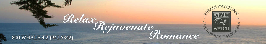 Northern California Romantic Getaway