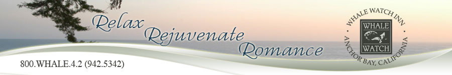 Northern California Romantic Getaway