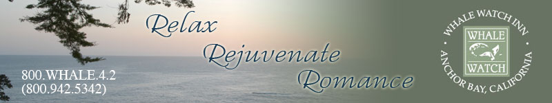 Northern California Romantic Getaway