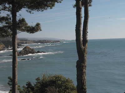 Beach Weddings Northern California on Lodging    Morning Light Back